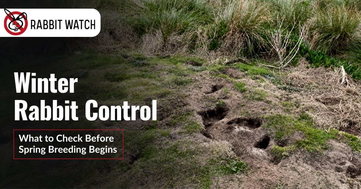 rw-Winter Rabbit Control